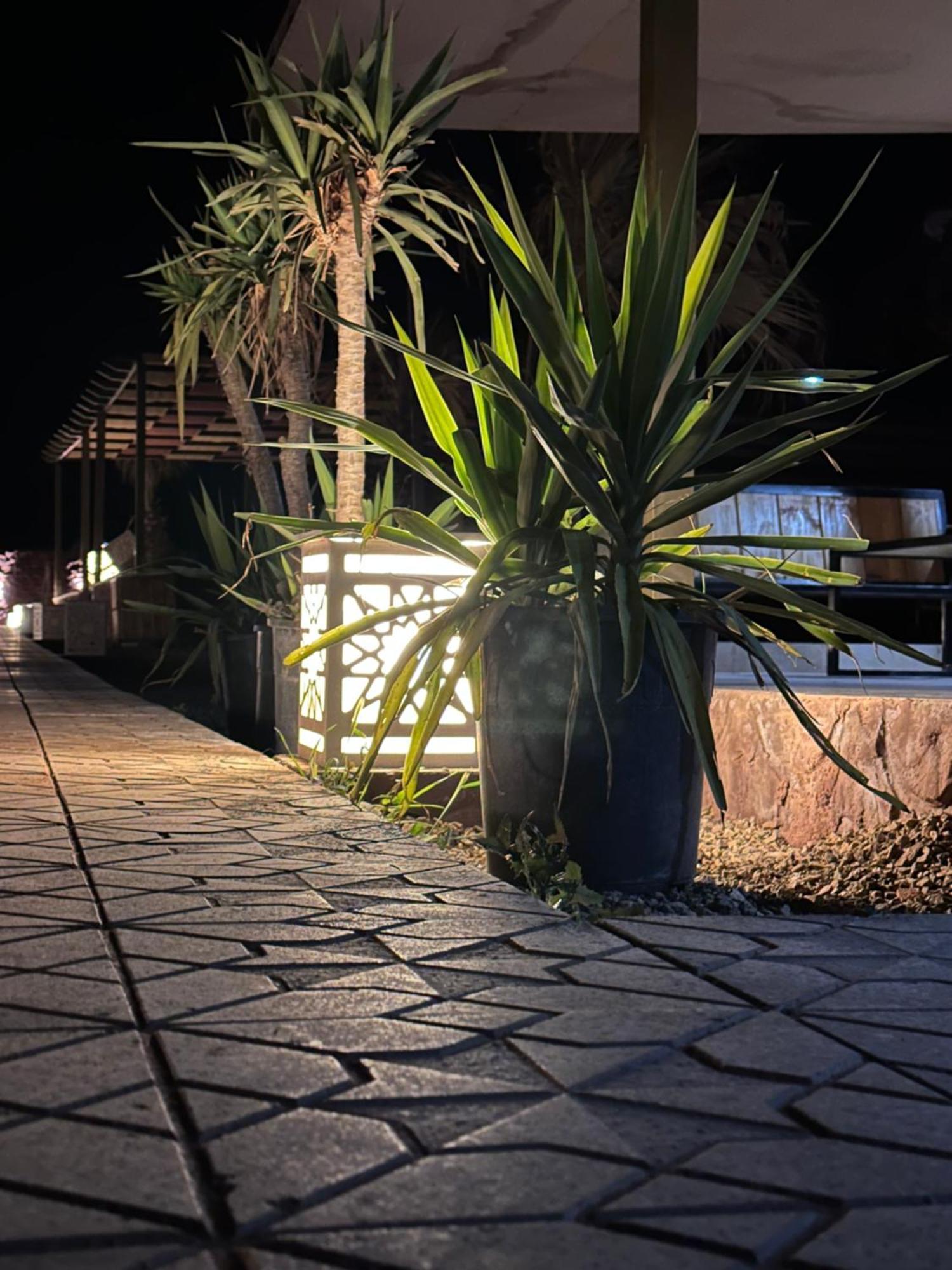 Rum Relaxation Luxury Camp Ουάντι Ραμ Εξωτερικό φωτογραφία